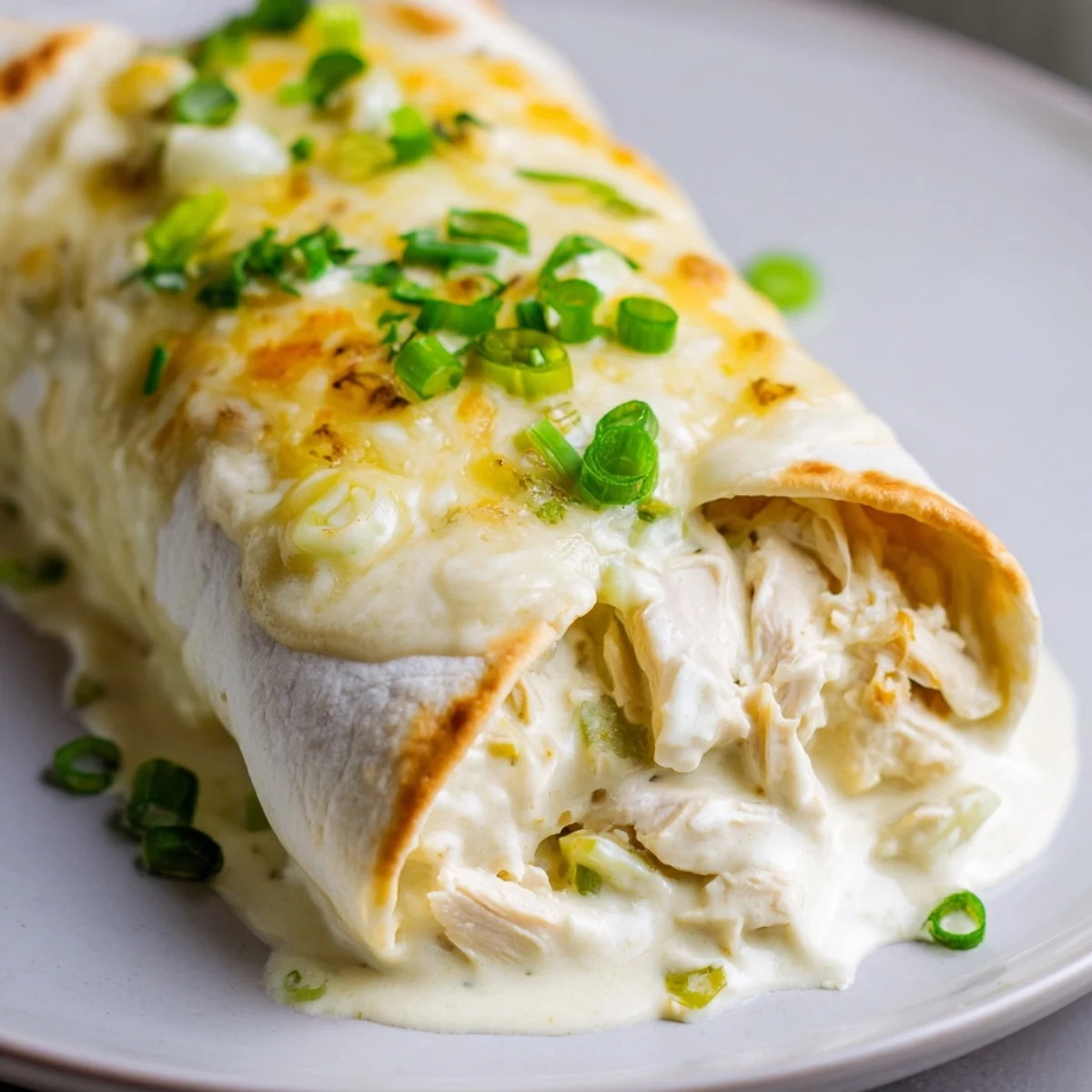 Fresh-baked Creamy White Chicken Enchiladas in a 9x13 dish, cilantro garnish